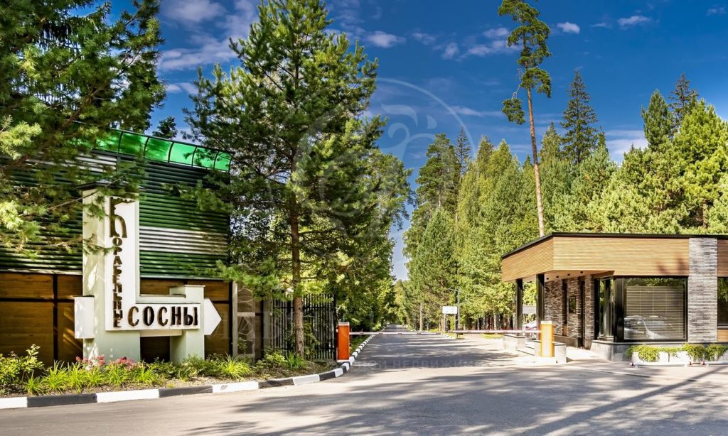 Корабельные Сосны