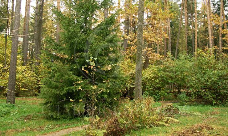 Лот-73-103718 посёлок Жуковка-2 Рублево-Успенское шоссе Жуковка