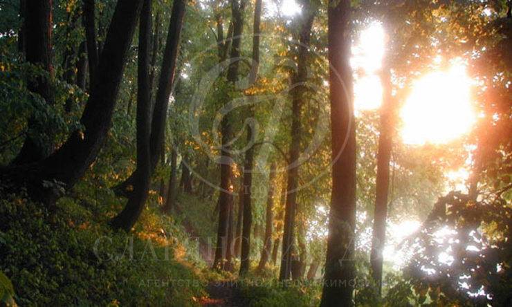 Лот-646-104023 посёлок 7 Миля Рублево-Успенское шоссе Николо-Урюпино