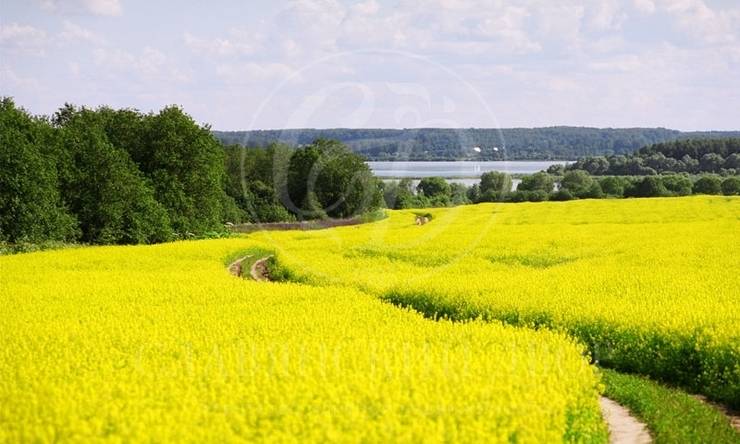 Лот-837-104128 посёлок Старо Новорижское шоссе Рузское водохранилище