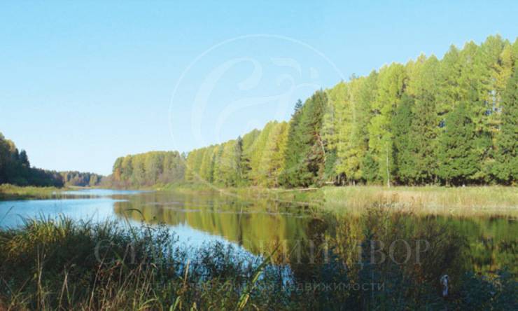 Лот-849-104153 посёлок Тихая Заводь  Новорижское шоссе Истра