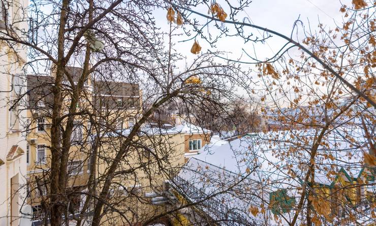 Лот-9545-118195 Аренда квартиры Хамовники, Плющиха