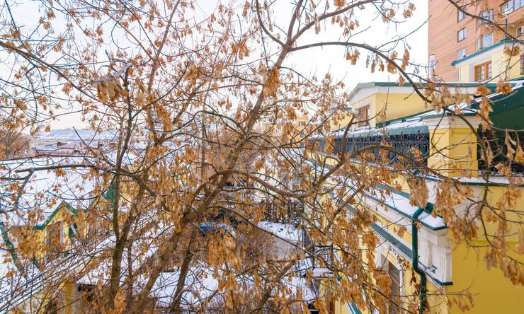 Лот-9545-118197 Аренда квартиры Хамовники, Плющиха