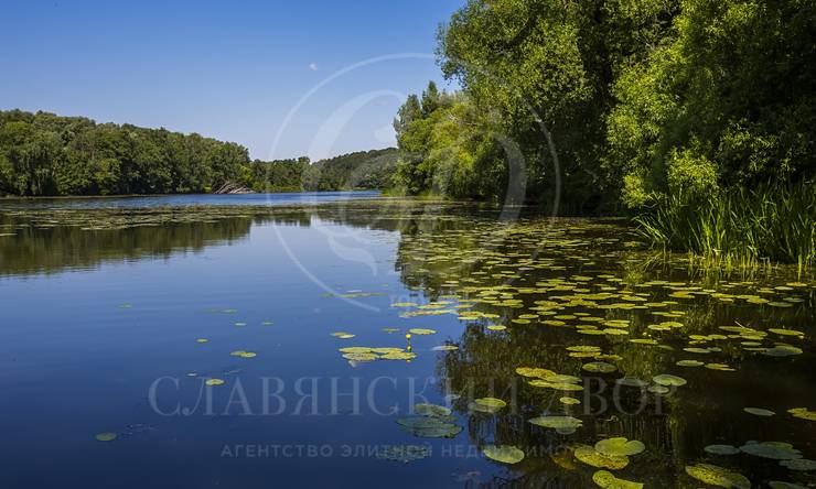 Продажа роскошного лесного участка по супер цене!