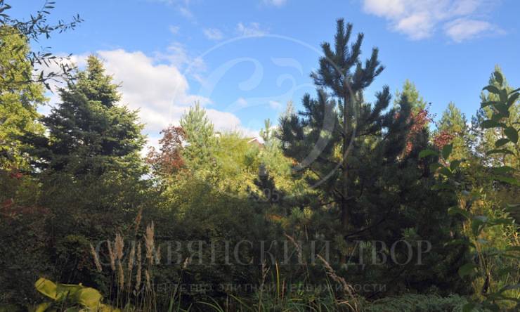 Лот-98-138101 посёлок Степановское Новорижское шоссе Истра