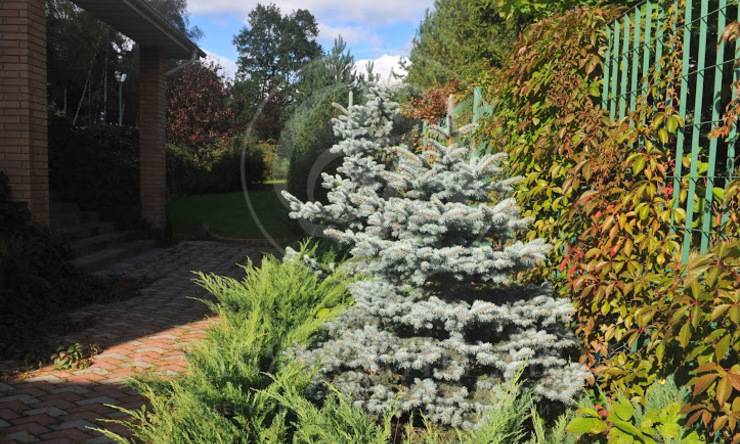 Лот-98-138102 посёлок Степановское Новорижское шоссе Истра