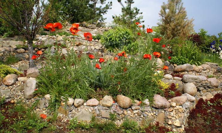 Лот-150-138165 посёлок Новогорск Ленинградское шоссе Химки