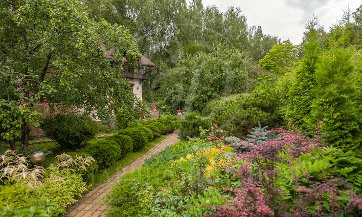 Лот-678-139256 посёлок Матвейково Рублево-Успенское шоссе Матвейково