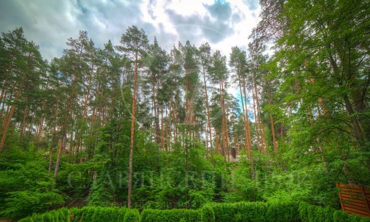 поселок Воронки