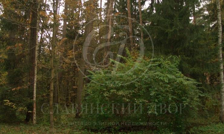 поселок жуковка левая сторона