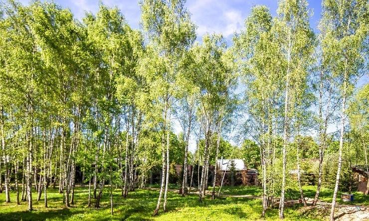 Лот-7564-147277 продажа дома Минское шоссе Немчиновка