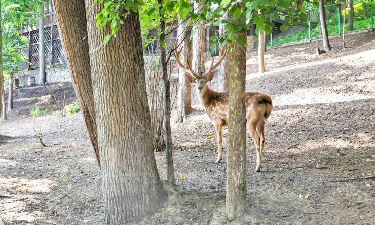Лот-7578-147322 продажа дома Рублево-Успенское шоссе Петрово-Дальнее