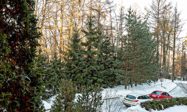 Лот-6521-155946 Продажа квартиры Сколково