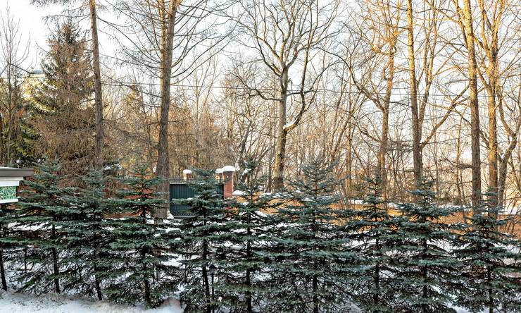 Лот-6521-155949 Продажа квартиры Сколково