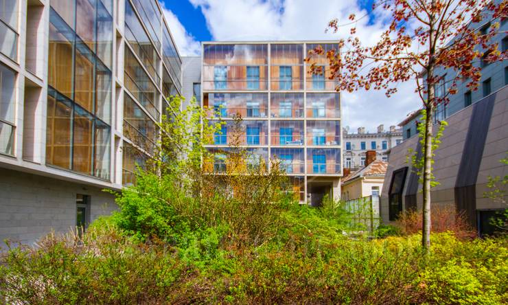 Лот-8366-160841 Аренда квартиры Хамовники, Плющиха