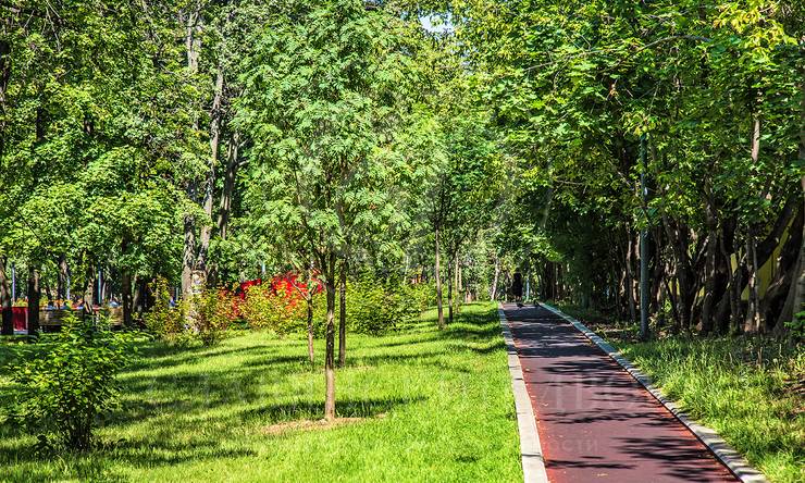 Лот-8970-161998 Продажа квартиры Красная Пресня