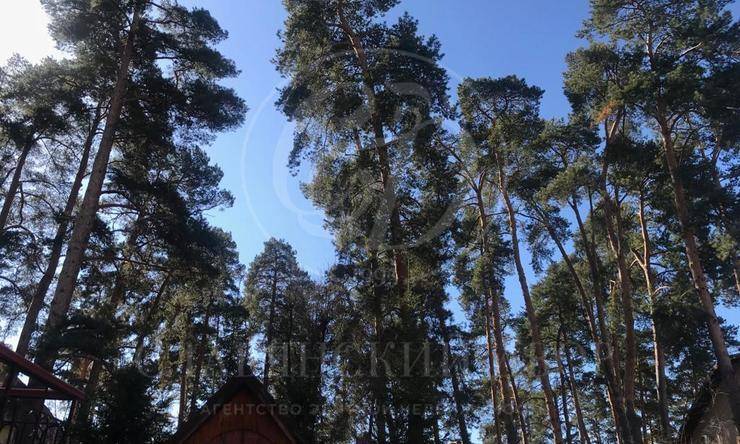 Лот-7942-165396 продажа участка Рублево-Успенское шоссе Заречье