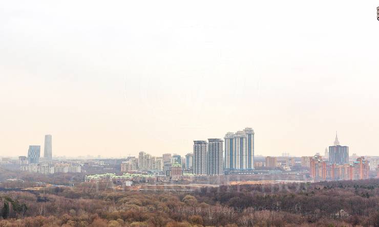 Лот-10542-166239 Аренда квартиры Кунцево