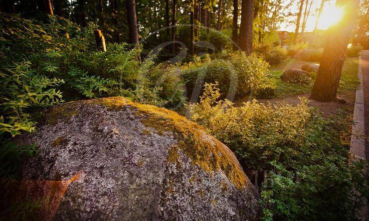 Лот-7992-168643 продажа дома Рублево-Успенское шоссе Горки-6