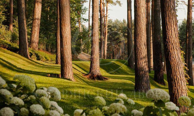 Лот-7992-168645 продажа дома Рублево-Успенское шоссе Горки-6