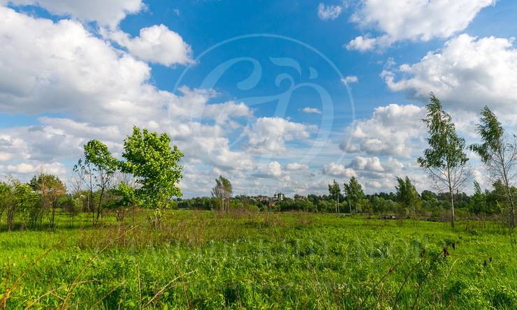 Лот-7307-173718 продажа дома Рублево-Успенское шоссе Петрово-Дальнее