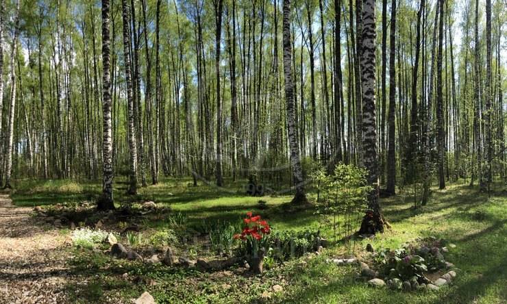 Лот-8126-176035 продажа дома Новорижское шоссе Усадьба на Волге