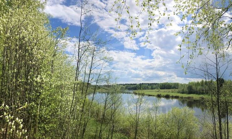 Лот-8126-176036 продажа дома Новорижское шоссе Усадьба на Волге