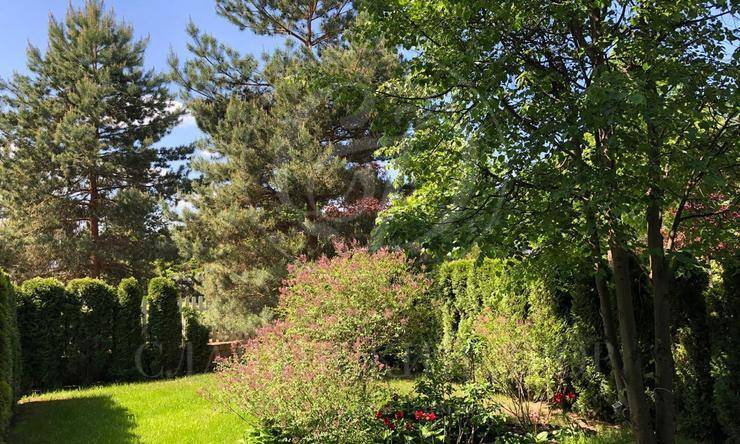 Лот-8319-185319 аренда дома Новорижское шоссе Бенилюкс