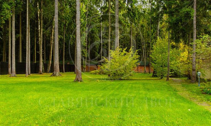 Лот-8357-187056 аренда дома Рублево-Успенское шоссе Ландшафт