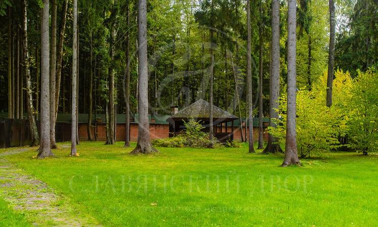 Лот-8358-187074 аренда дома Рублево-Успенское шоссе Ландшафт