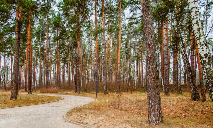 Лот-8118-194890 продажа дома Рублево-Успенское шоссе Любушкин хутор