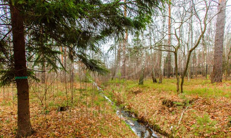 Лот-8118-194903 продажа дома Рублево-Успенское шоссе Любушкин хутор