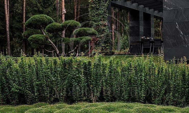 Лот-8497-195195 продажа дома Новорижское шоссе Бенилюкс