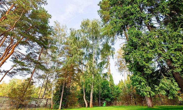 Лот-8559-198591 продажа дома Дмитровское шоссе Курорт Пирогово