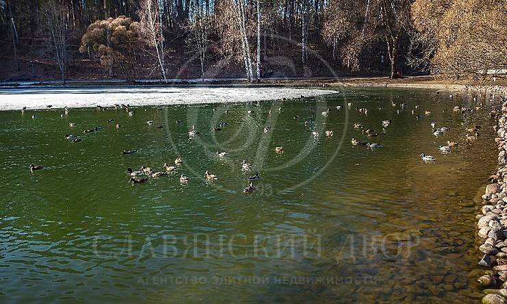 Лот-7008-206590 продажа дома Рублево-Успенское шоссе Сады Майендорф (бывшая территория санатория Барвиха)