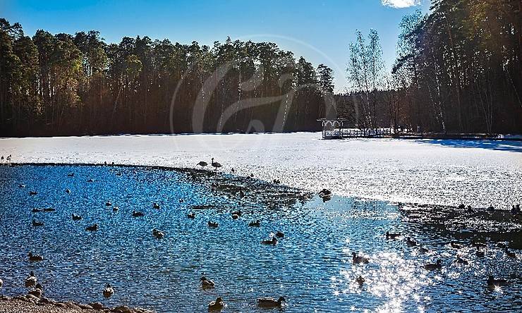 Лот-7367-206914 продажа дома Рублево-Успенское шоссе Сады Майендорф (бывшая территория санатория Барвиха)