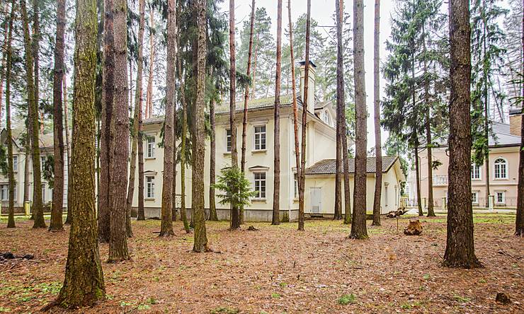 Лот-8653-207352 продажа дома 1-е Успенское шоссе Лебединое озеро