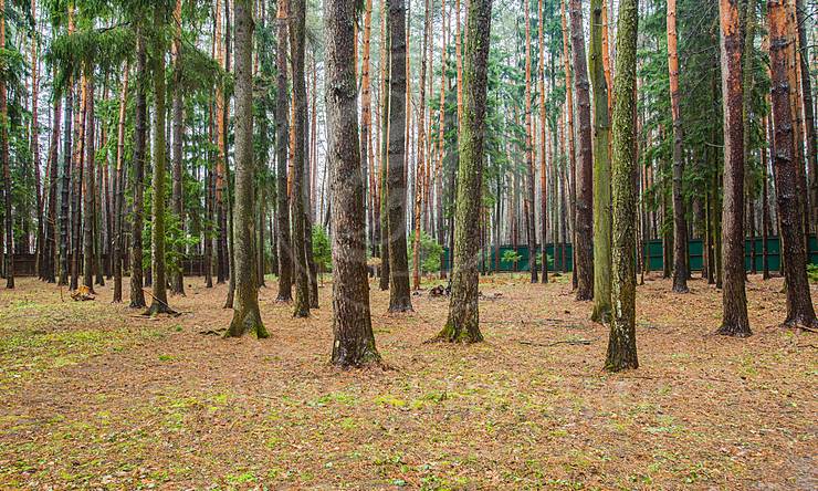 Лот-8653-207358 продажа дома 1-е Успенское шоссе Лебединое озеро