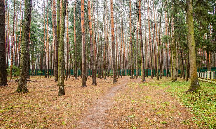 Лот-8653-207360 продажа дома 1-е Успенское шоссе Лебединое озеро