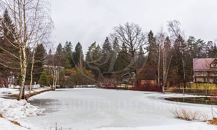 Лот-8653-207363 продажа дома 1-е Успенское шоссе Лебединое озеро