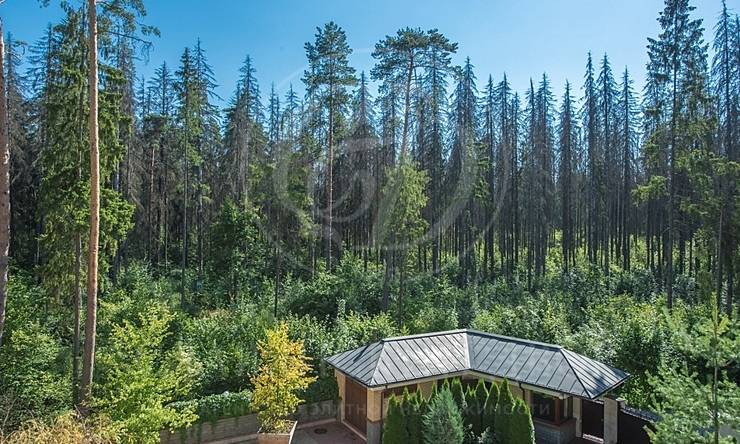 Лот-5315-207833 аренда дома Минское шоссе Переделкино