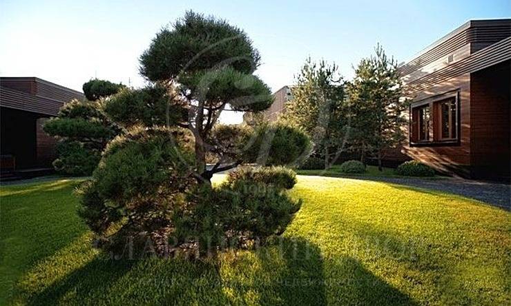 Лот-7206-209689 аренда дома Рублево-Успенское шоссе Барвиха