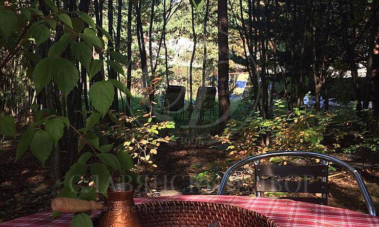 Лот-384-211306 аренда дома Рублево-Успенское шоссе Глухово