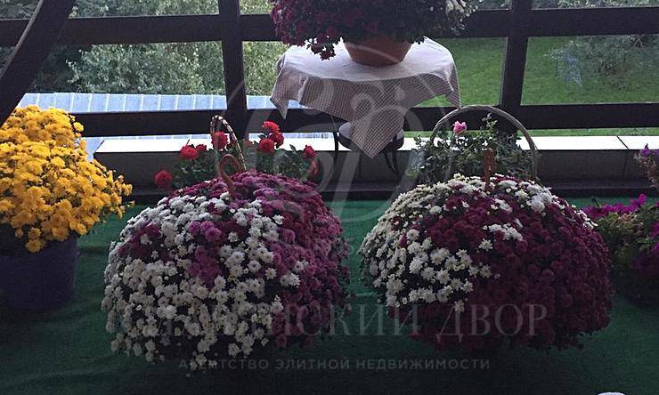 Лот-384-211308 аренда дома Рублево-Успенское шоссе Глухово