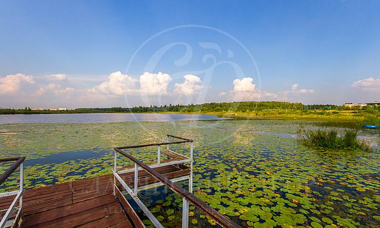 Лот-8758-212059 аренда дома Новорижское шоссе Новинки