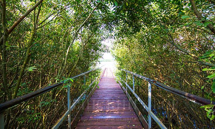 Лот-8758-212061 аренда дома Новорижское шоссе Новинки