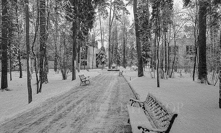 Лот-8830-216016 аренда дома Рублево-Успенское шоссе Николина гора