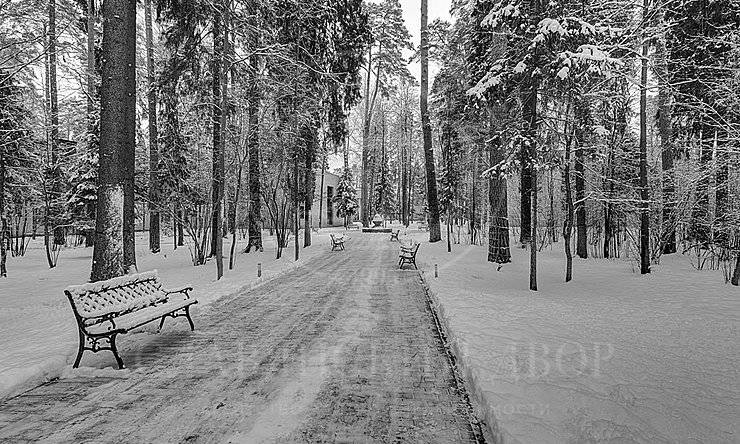 Лот-8830-216024 аренда дома Рублево-Успенское шоссе Николина гора