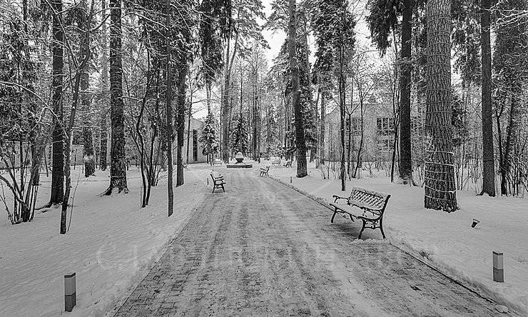 Лот-8830-216036 аренда дома Рублево-Успенское шоссе Николина гора