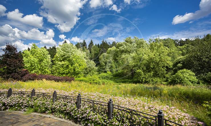 Лот-8934-221908 продажа дома Минское шоссе Стольное